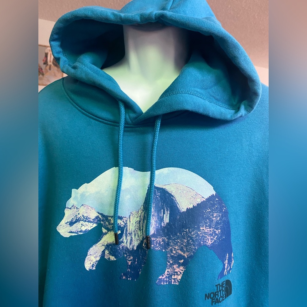 The North Face Hoodie